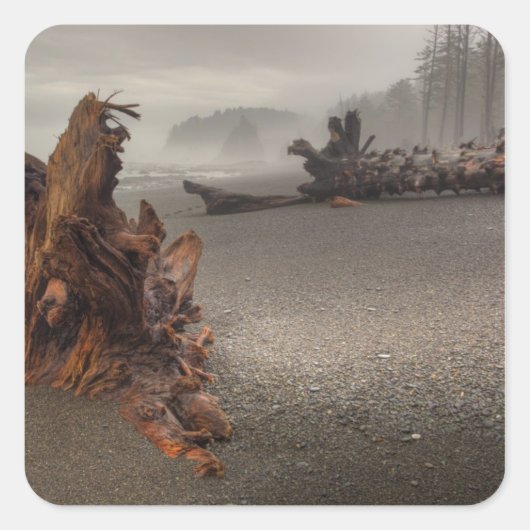 USA, Washington, Olympic National Park, Rialto 2 Vierkante Sticker (Voorkant)