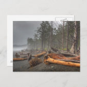 USA, Washington, Olympic National Park, Rialto Briefkaart (Voorkant / Achterkant)
