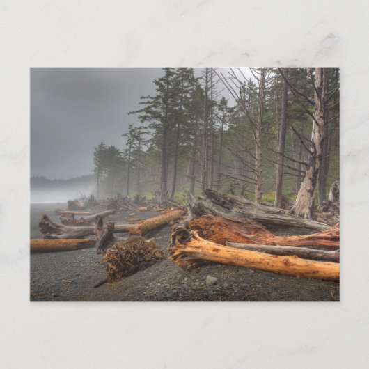 USA, Washington, Olympic National Park, Rialto Briefkaart (Voorkant)
