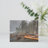 USA, Washington, Olympic National Park, Rialto Briefkaart (Staand voorkant)