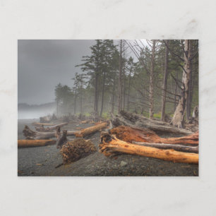 USA, Washington, Olympic National Park, Rialto Briefkaart