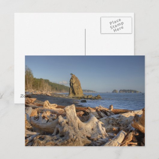 USA, Washington, Olympic National Park, Rialto Briefkaart (Voorkant / Achterkant)