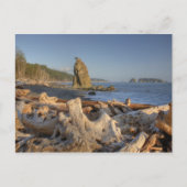 USA, Washington, Olympic National Park, Rialto Briefkaart (Voorkant)