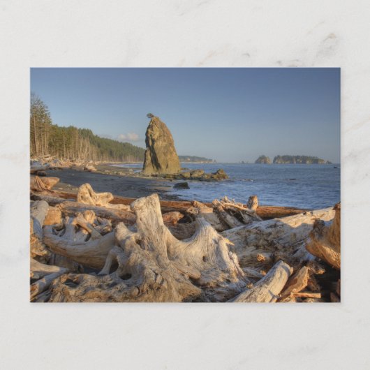 USA, Washington, Olympic National Park, Rialto Briefkaart (Voorkant)