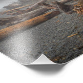 USA, Washington, Olympic National Park, Rialto Foto Afdruk (Hoek)