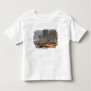 USA, Washington, Olympic National Park, Rialto Kinder Shirts