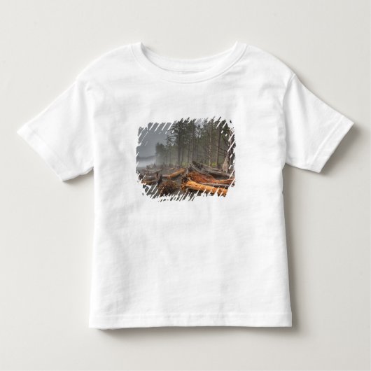 USA, Washington, Olympic National Park, Rialto Kinder Shirts (Voorkant)