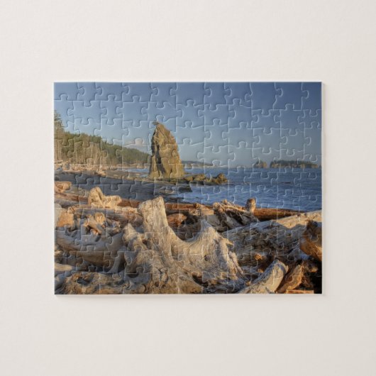 USA, Washington, Olympic National Park, Rialto Legpuzzel (Horizontaal)