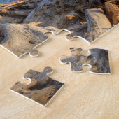 USA, Washington, Olympic National Park, Rialto Legpuzzel (Zijkant)