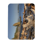 USA, Washington, Olympic National Park, Rialto Magneet (Verticaal)