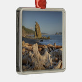 USA, Washington, Olympic National Park, Rialto Metalen Ornament (Rechts)