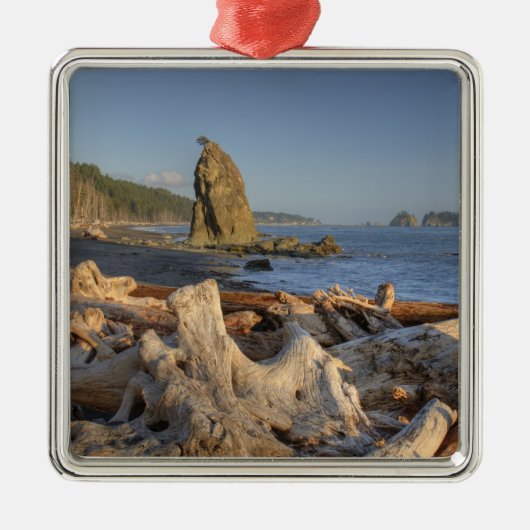 USA, Washington, Olympic National Park, Rialto Metalen Ornament (Voorkant)