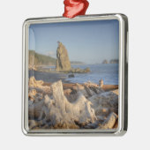 USA, Washington, Olympic National Park, Rialto Metalen Ornament (Links)