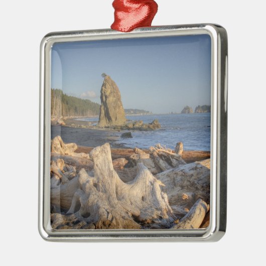 USA, Washington, Olympic National Park, Rialto Metalen Ornament (Links)