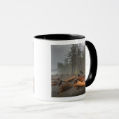 USA, Washington, Olympic National Park, Rialto Mok (Voorkant rechts)