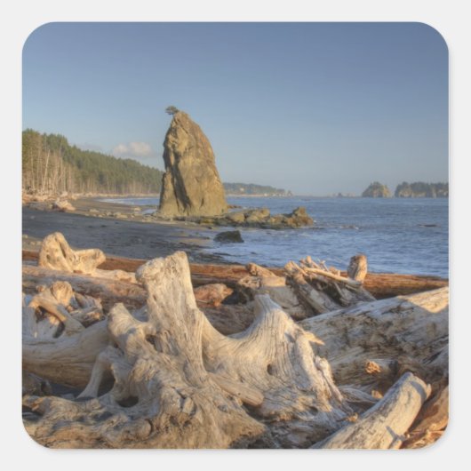 USA, Washington, Olympic National Park, Rialto Vierkante Sticker (Voorkant)