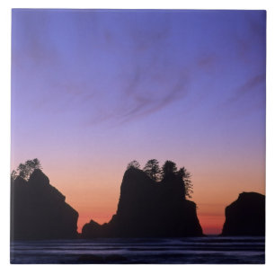 USA, Washington, Olympic National Park, Shi-shi Tegeltje
