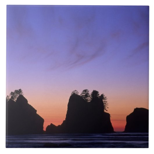 USA, Washington, Olympic National Park, Shi-shi Tegeltje (Voorkant)