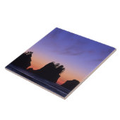 USA, Washington, Olympic National Park, Shi-shi Tegeltje (Zijkant)