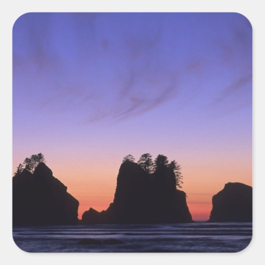 USA, Washington, Olympic National Park, Shi-shi Vierkante Sticker (Voorkant)