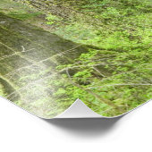 USA, Washington, Olympic National Park, Spring 3 Foto Afdruk (Hoek)