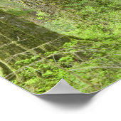 USA, Washington, Olympic National Park, Spring 3 Poster (Hoek)