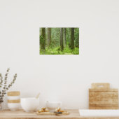 USA, Washington, Olympic National Park, Spring 3 Poster (Keuken)