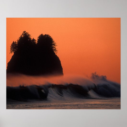 USA, Washington, Olympic National Park, Zee Poster (Voorkant)