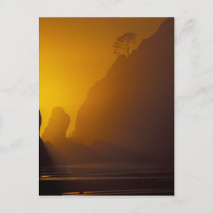 USA, Washington, Olympic Nat'l Park, Sunset, 2 Briefkaart