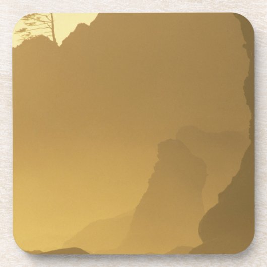 USA, Washington, Olympic Nat'l Park, Sunset, Drankjes Onderzetter (Voorkant)