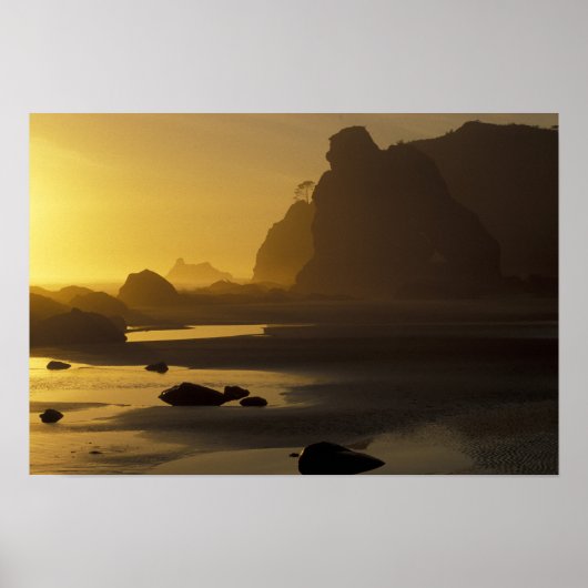 USA, Washington, Olympic Nat'l Park, Sunset, Poster (Voorkant)