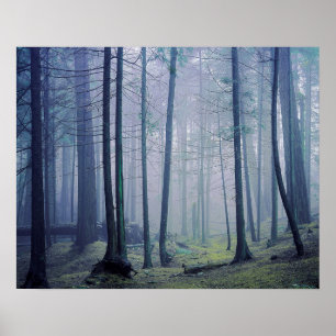 USA, Washington, Orcas Island, Moran State Park Poster