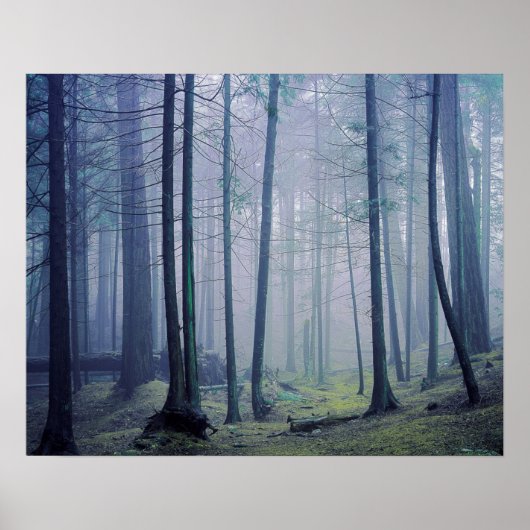 USA, Washington, Orcas Island, Moran State Park Poster (Voorkant)