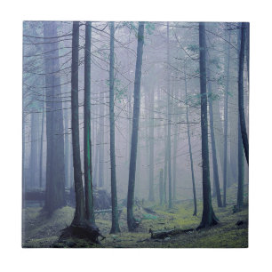 USA, Washington, Orcas Island, Moran State Park Tegeltje