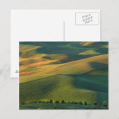 USA, Washington, Palouse, Whitman County Briefkaart (Voorkant / Achterkant)