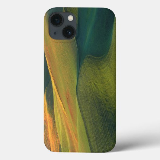 USA, Washington, Palouse, Whitman County Case-Mate iPhone Case (Achterkant)
