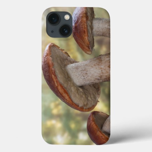 USA, Washington, Seabeck. Leccinum Insigne Case-Mate iPhone Case (Achterkant)