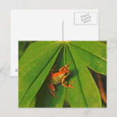 USA, Washington, Seattle, Discovery Park 2 Briefkaart (Voorkant / Achterkant)