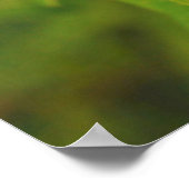 USA, Washington, Seattle, Discovery Park 2 Poster (Hoek)