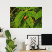 USA, Washington, Seattle, Discovery Park 2 Poster (Thuiskantoor)