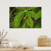 USA, Washington, Seattle, Discovery Park 2 Poster (Keuken)