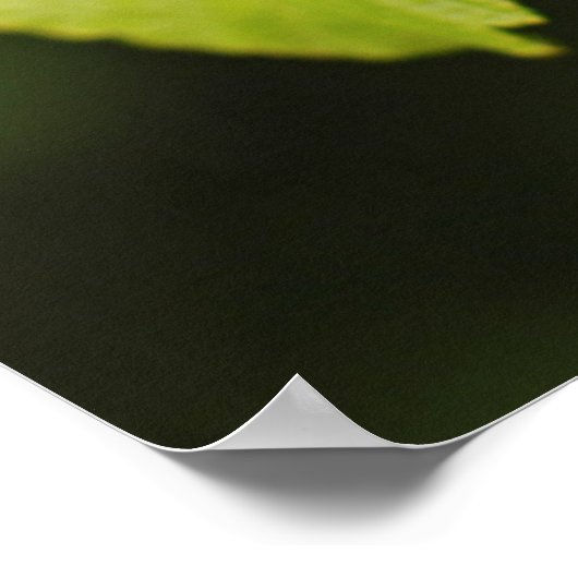 USA, Washington, Seattle, Discovery Park Poster (Hoek)