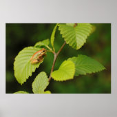 USA, Washington, Seattle, Discovery Park Poster (Voorkant)