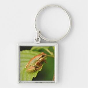 USA, Washington, Seattle, Discovery Park Sleutelhanger