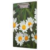 USA, Washington, Seattle, Puget Sound 3 Klembord (Links)