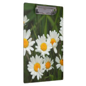 USA, Washington, Seattle, Puget Sound 3 Klembord (Rechts)