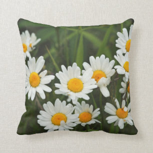 USA, Washington, Seattle, Puget Sound 3 Kussen