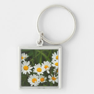 USA, Washington, Seattle, Puget Sound 3 Sleutelhanger