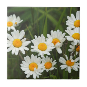 USA, Washington, Seattle, Puget Sound 3 Tegeltje