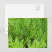 USA, Washington, Seattle, Washington Park Briefkaart (Voorkant / Achterkant)